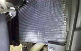 HONDA NX400 2025 NC65