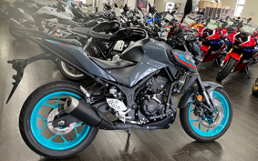 YAMAHA MT-25 RG74J