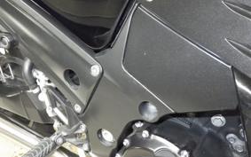 KAWASAKI ZZ1400 NINJA R 2006 ZXT40A