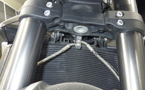 TRIUMPH STREET TRIPLE RS 2021