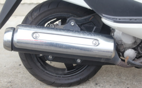 SUZUKI  SKY WAVE 250TYPES CJ43A