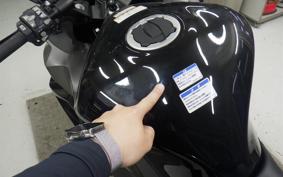 KAWASAKI NINJA 1000SX 2024 ZXT02K