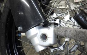 YAMAHA WR250X DG15J