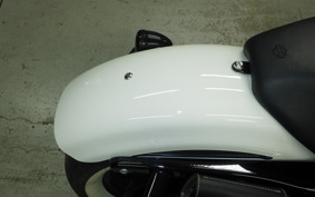 HARLEY XL1200NS 2019