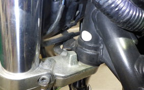 KAWASAKI ZEPHYR 1100 2007 ZRT10A