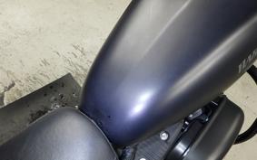 HARLEY XL883N 2013