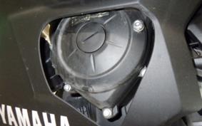 YAMAHA YZF-R25 2008 RG43J