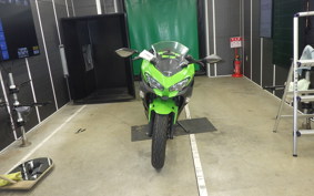 KAWASAKI NINJA 250 2 2019 EX250P