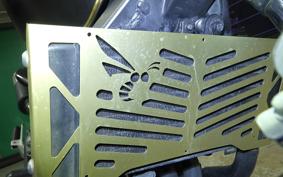 HONDA HORNET 250 2024 MC31