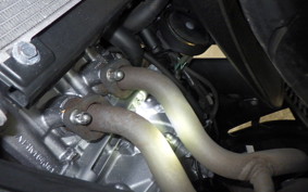HONDA CBR250RR A 2025 MC51
