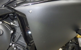 YAMAHA YZF-R1 2010 RN24J
