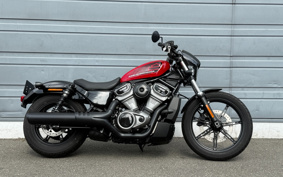HARLEY RH975 NIGHT STAR 2023 ZH1