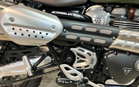 TRIUMPH SCRAMBLER 1200XC 2020 DAD81H
