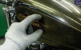 HARLEY XL1200V 2013