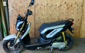 HONDA ZOOMER-X JF38