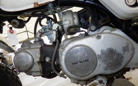 HONDA MONKEY Z50J