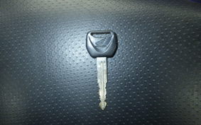 HONDA HORNET 250 2025 MC31