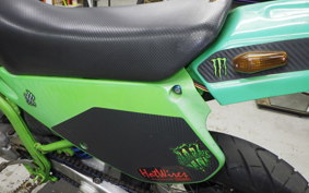 KAWASAKI KDX250SR 2012 DX250F