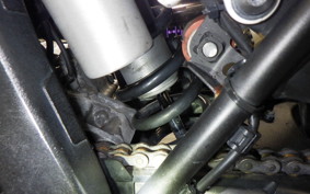 YAMAHA WR250X 2007 DG15J