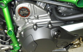 KAWASAKI NINJA H2 CARBON 2021 ZXT02J