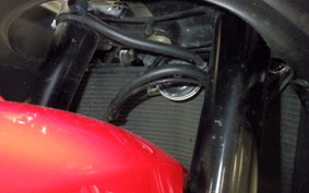 HONDA CBR600RR 2024 PC40