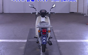 OTHER C110-3