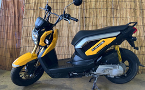 HONDA ZOOMER-X JF38