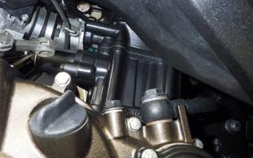 SUZUKI GIXXER 250 SF 1982 ED22B