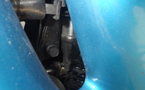 KAWASAKI ZZ-R250 EX250H
