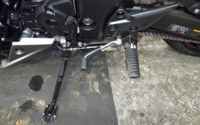 KAWASAKI NINJA 1000SX 2024 ZXT02K