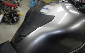 KAWASAKI NINJA H2 SX SE 2019 ZXT02A