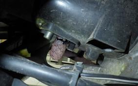 SUZUKI LET's 4 CA45A