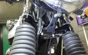 KAWASAKI W800 2020 EJ800B