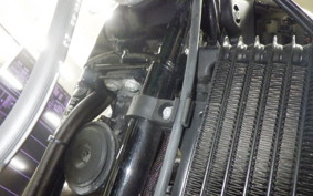 HARLEY XR1200 2009