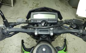 KAWASAKI KLX250D TRACKER X 2019 LX250V