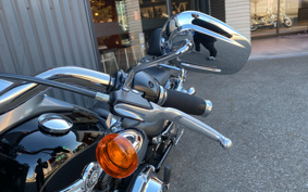 HARLEY FLFBS 2017 YGK
