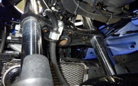 SUZUKI GSX250 R 2019