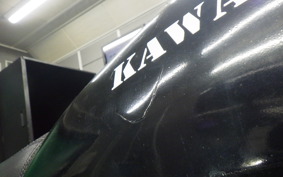 KAWASAKI 250TR 2024 BJ250F