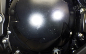 KAWASAKI NINJA 1000SX 2024 ZXT02K