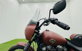HARLEY FXBB 2017 YJJ