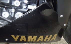 YAMAHA YZF-R1 2010 RN24J