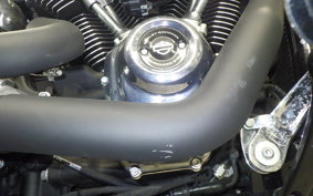 HARLEY FXBR1920 2024