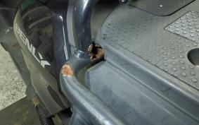 HONDA BENLY 110 JA09