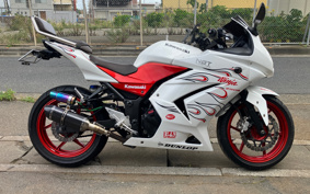 KAWASAKI NINJA 250R EX250K