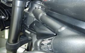 TRIUMPH STREET TRIPLE R 2020