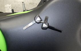 KAWASAKI ZX-4RR 2025 ZX400P