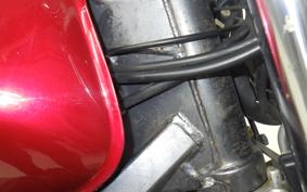HONDA HORNET 250 MC31