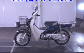 OTHER C110PU LOW 2