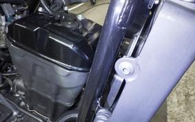 HONDA REBEL 250 2020 MC49