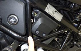 HUSQVARNA SVARTPILEN 250 2021
